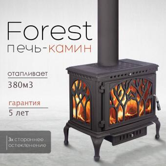 Чугунная печь Forest  в Перми