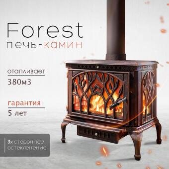 Чугунная печь Forest Bronze в Перми